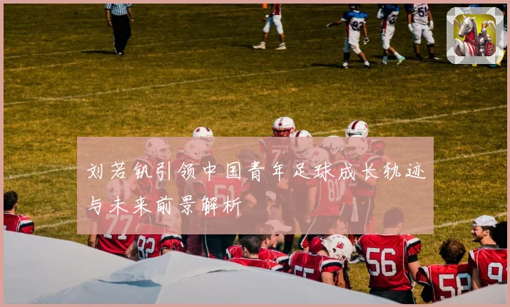 刘若钒引领中国青年足球成长轨迹与未来前景解析