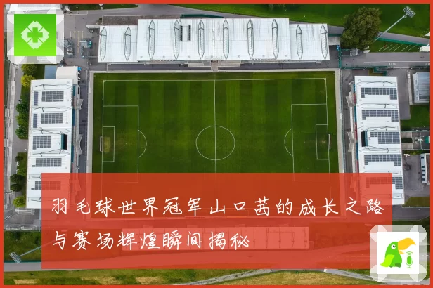 羽毛球世界冠军山口茜的成长之路与赛场辉煌瞬间揭秘