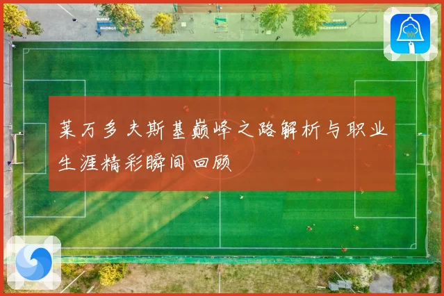 莱万多夫斯基巅峰之路解析与职业生涯精彩瞬间回顾