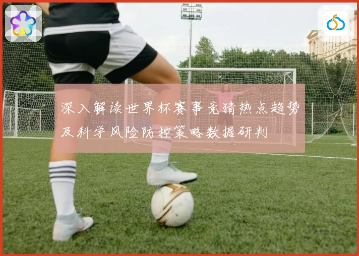 深入解读世界杯赛事竞猜热点趋势及科学风险防控策略数据研判