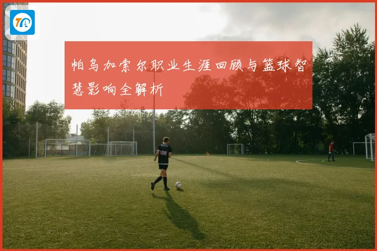 帕乌加索尔职业生涯回顾与篮球智慧影响全解析