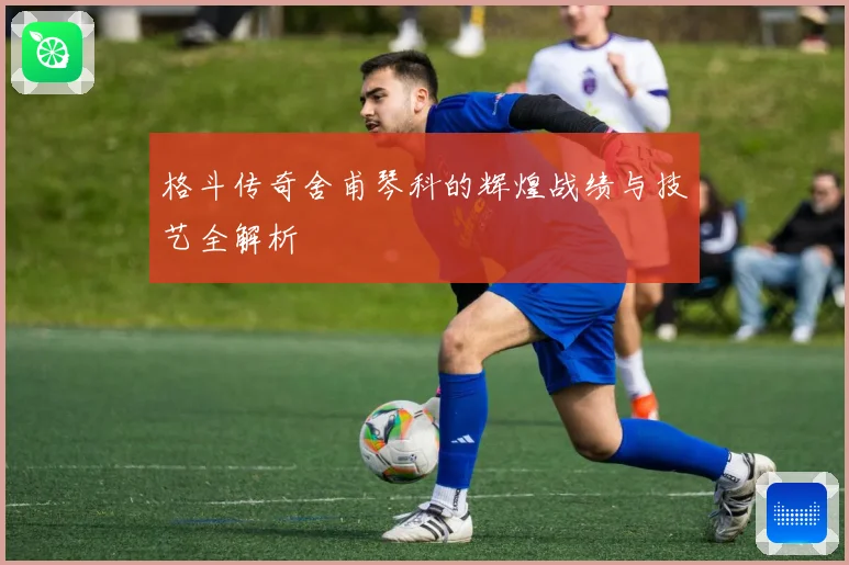 格斗传奇舍甫琴科的辉煌战绩与技艺全解析