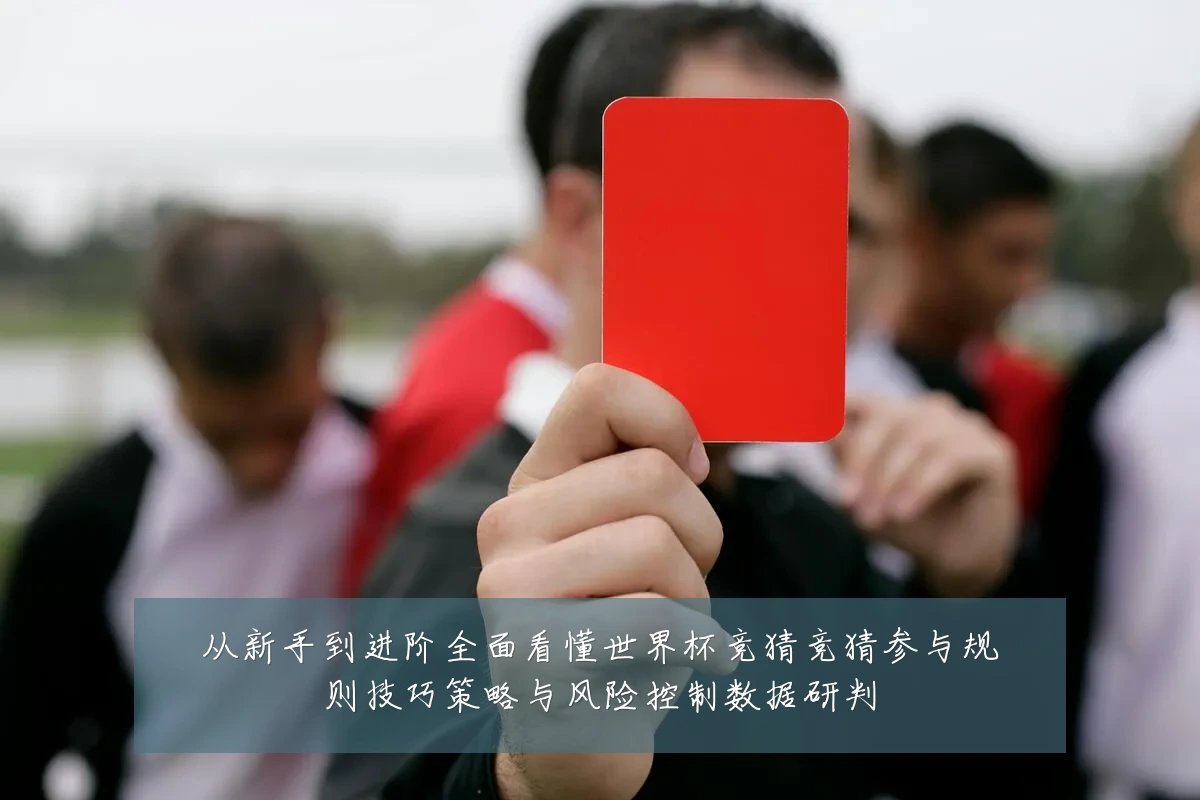 从新手到进阶全面看懂世界杯竞猜竞猜参与规则技巧策略与风险控制数据研判