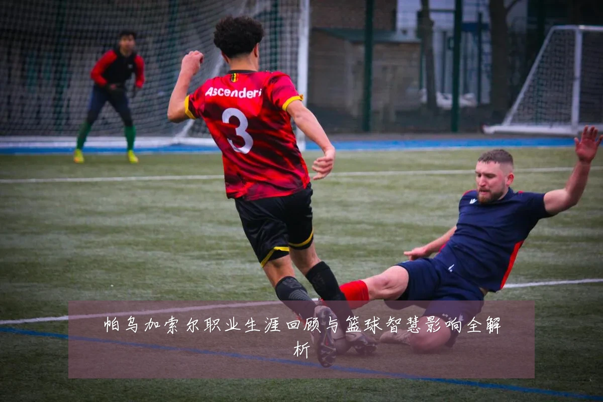 帕乌加索尔职业生涯回顾与篮球智慧影响全解析